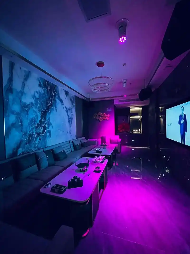 白山商务ktv，低端场独具特色-靖宇县ktv预定